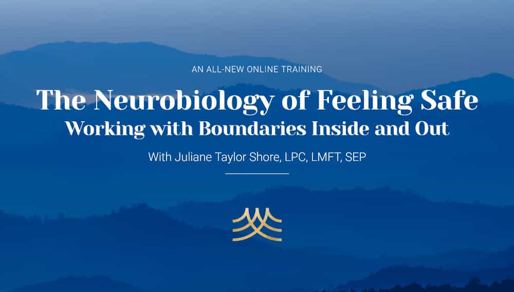 The Neurobiology of Feeling Safe Working with Boundaries Inside and Out
