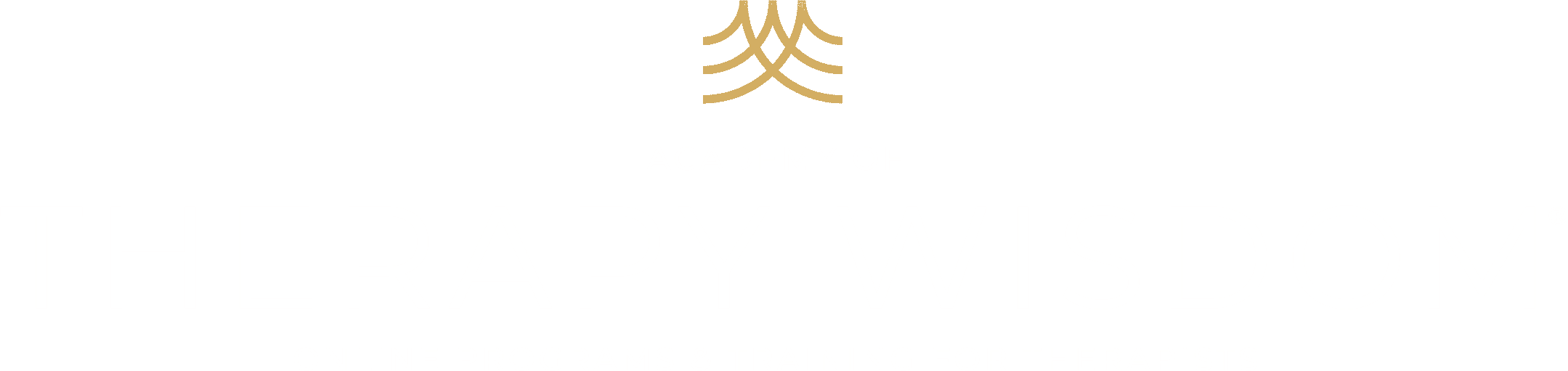 Academy of Therapy Wisdom - Online Programs and Training for Therapists