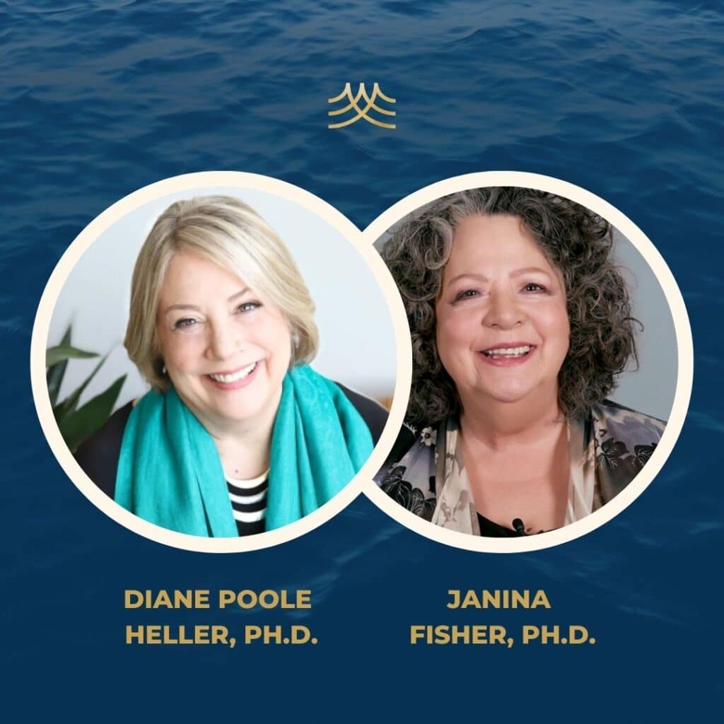DIANE POOLE HELLER AND JANINA FISHER