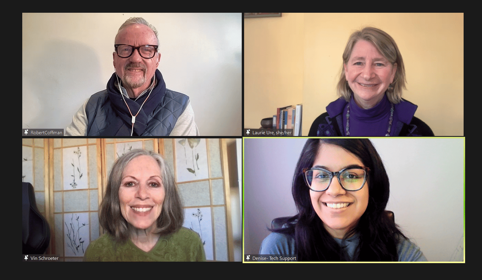 a group of experts pose on Zoom with the webinar producer