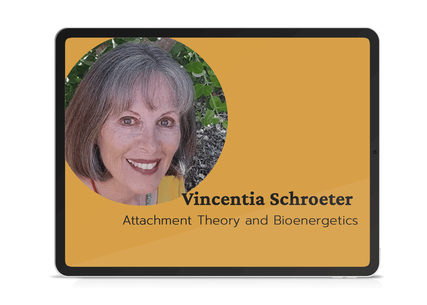 Attachment Theory and Bioenergetics with Vin Schroeter