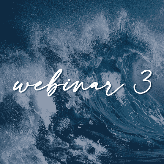 Recorded Webinar 3 - Riding the Waves